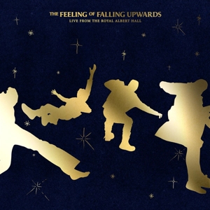 The Feeling Of Falling Upwards - 5 Seconds Of Summer - LP - Brand New Vinyl (Arrives in 20days)